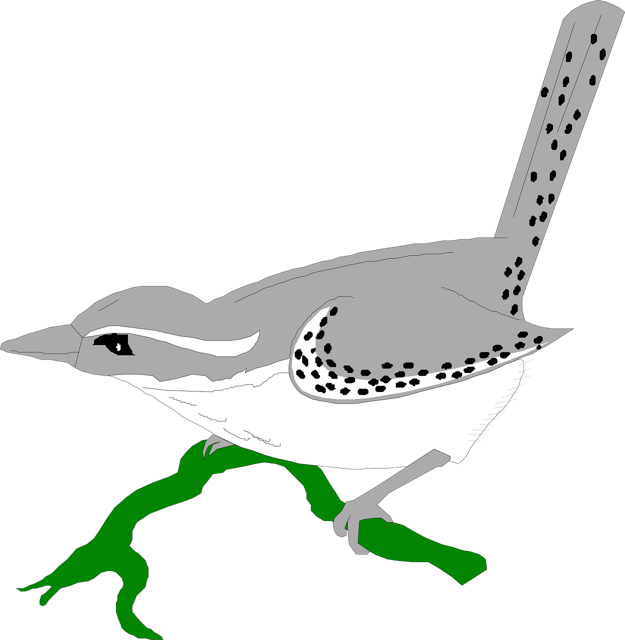 Wrens Png Picture (black, silver, green, white)