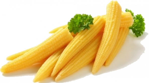 Fresh Baby Corn Cobs Transparent Png (black, silver, orange)