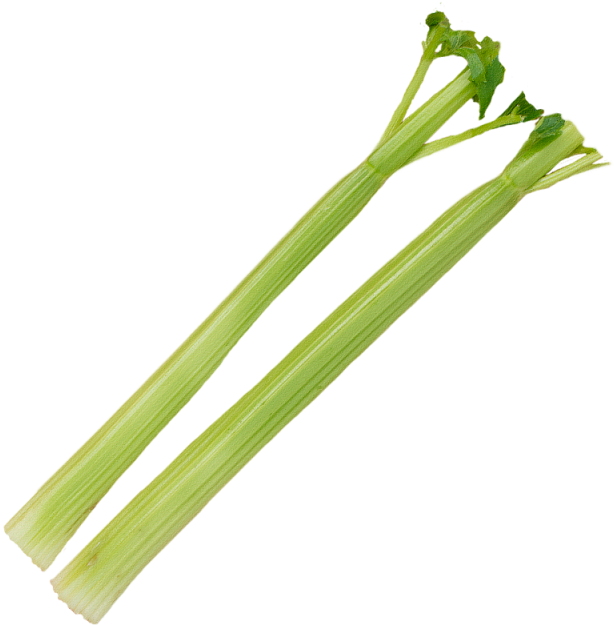 Fresh Celery Sticks Png Photos (black, gray)