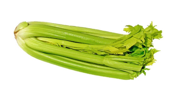 Fresh Celery Sticks Png Transparent Image (black, olive)