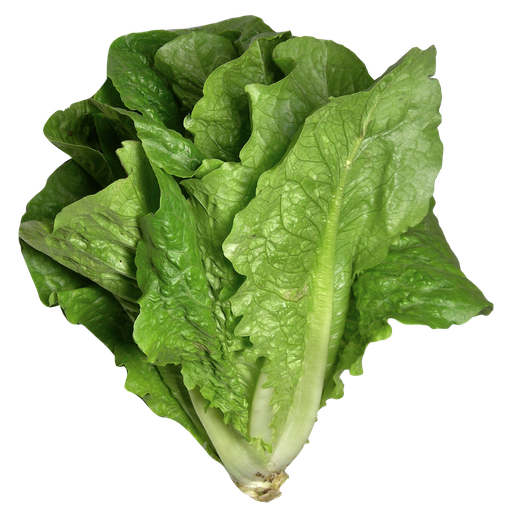 Fresh Celtuce Transparent Png (black, olive, green)