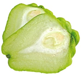 Fresh Chayote Transparent Background (black, silver)