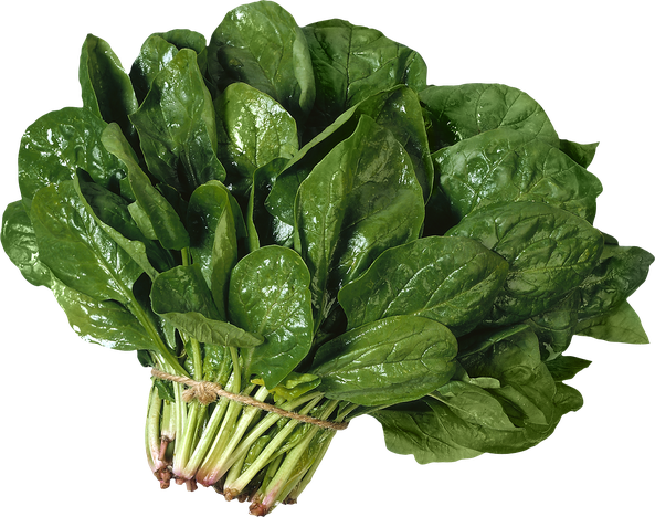 Fresh Chinese Spinach Png Clipart (black, olive)