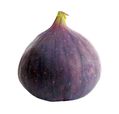 Fresh Fig Transparent Png (black, indigo)