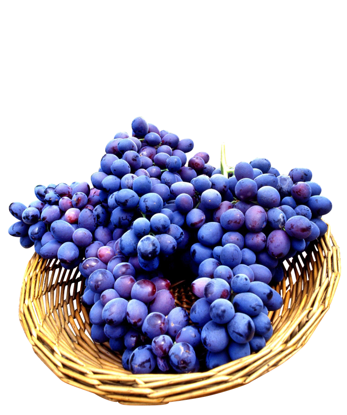 Fresh Fruit Basket Png Pic (black)