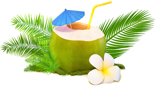 Fresh Green Coconut Png Image (black, olive, green)