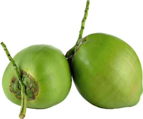 Fresh Green Coconut Png Photos (black, gray, olive)