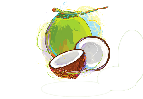 Fresh Green Coconut Png Transparent Image (white, gray, lavender, teal, olive)