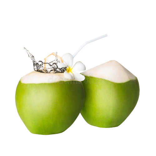 Fresh Green Coconut Transparent Png (black, white)