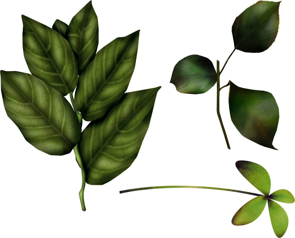 Fresh Green Leaves Png File (black)