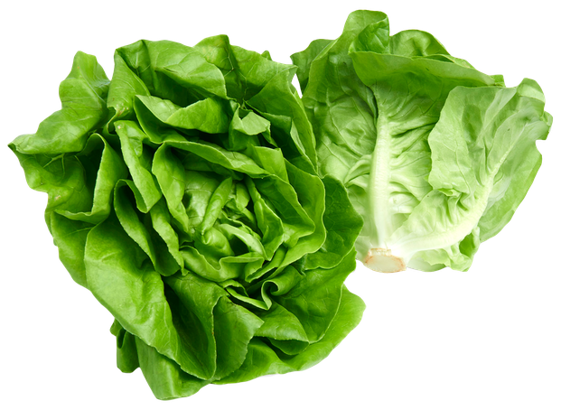 Fresh Green Lettuce Png File (black, green)