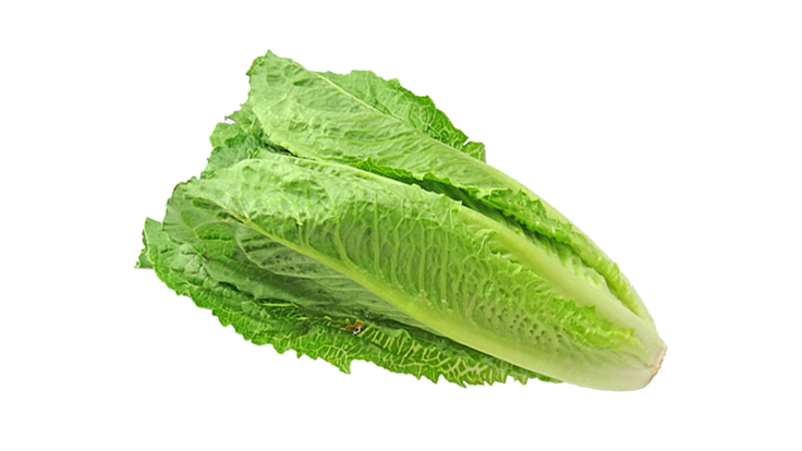 Fresh Green Lettuce Png Photos (black, silver, gray, mint)