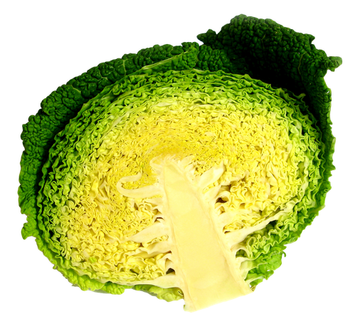 Fresh Half Cabbage Png Image 1 (black, pink)