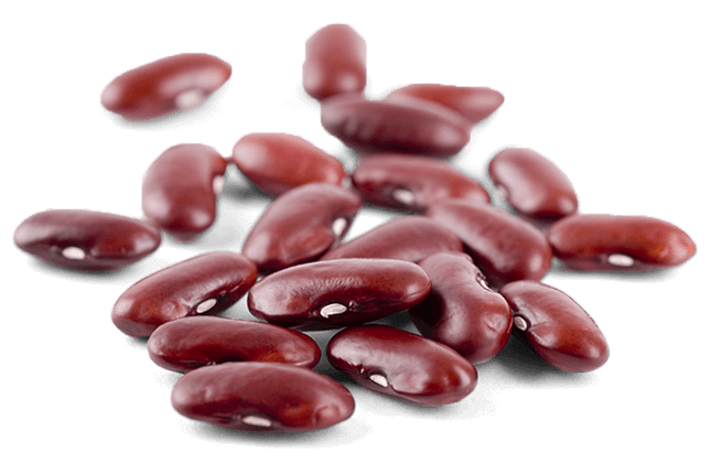 Fresh Kidney Beans Png (black)