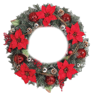 Fresh Poinsettias Png File (black)