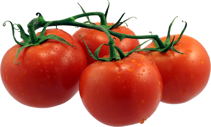 Fresh Tomatoes Bunch Png File (black, maroon)