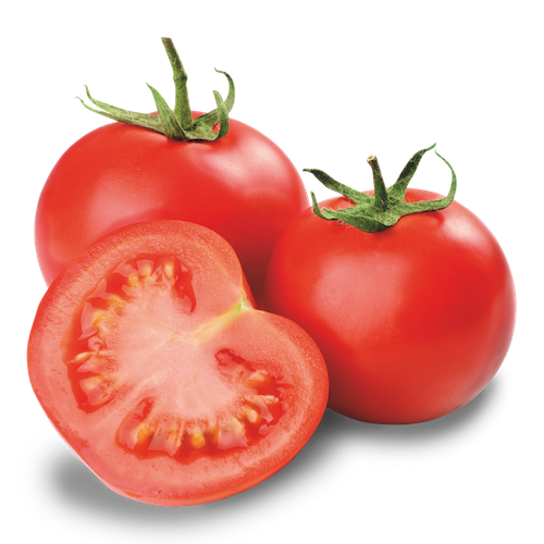 Fresh Tomatoes Bunch Png Image (black)