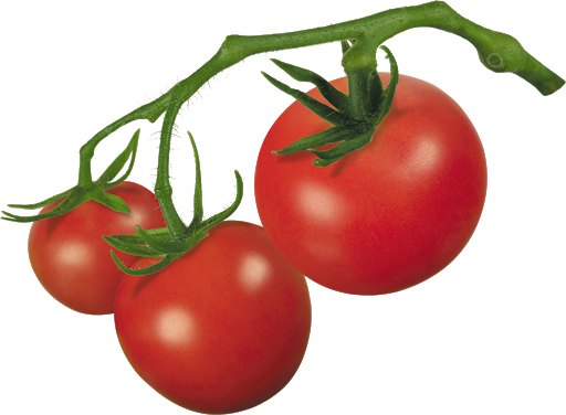 Fresh Tomatoes Bunch Transparent Png (black, maroon, chocolate)