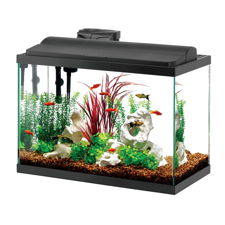 Fresh Water Fish Tank Aquarium Transparent Png (indigo, black, gray)