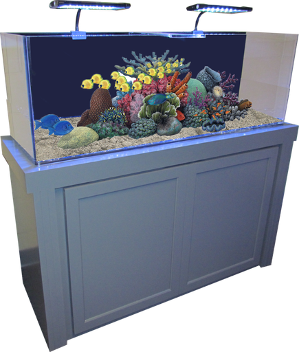 Fresh Water Fish Tank Transparent Png (black, gray, navy)