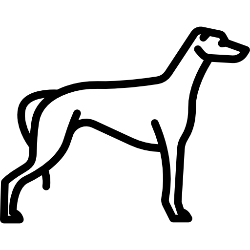 Greyhound Png File (black, white)