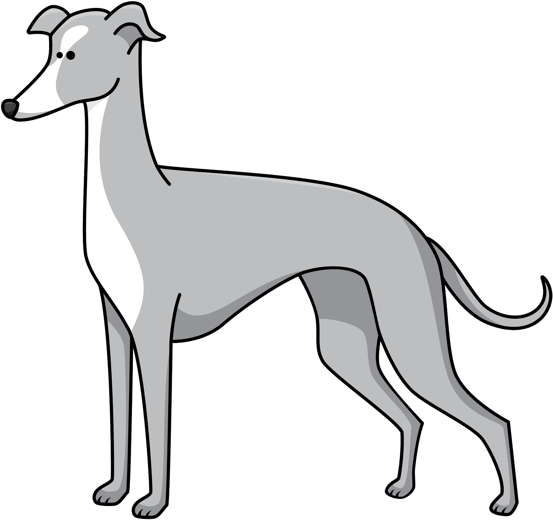 Greyhound Png Free Download (black, gray, silver, white)