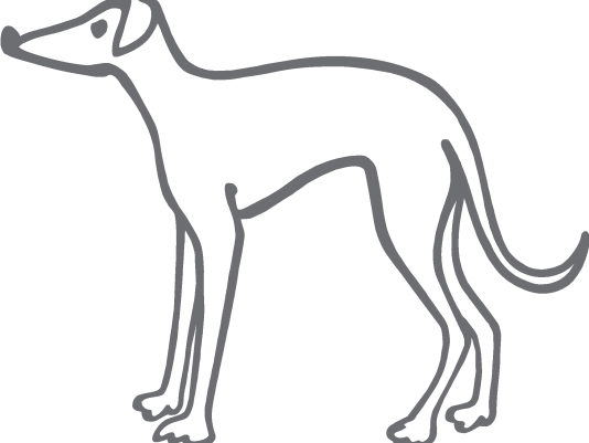 Greyhound Png Hd (black, gray)