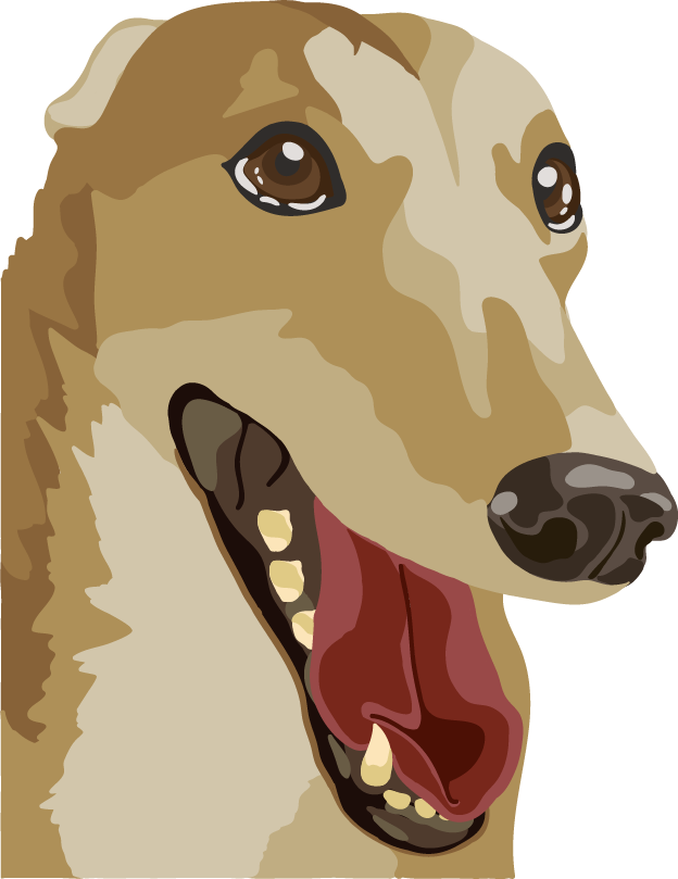 Greyhound Png Photo (maroon, gray, silver, white)