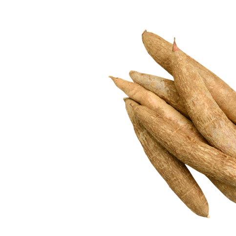 Organic Cassava Png File (black, chocolate, salmon)