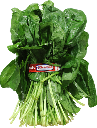 Organic Chinese Spinach Png File (black)