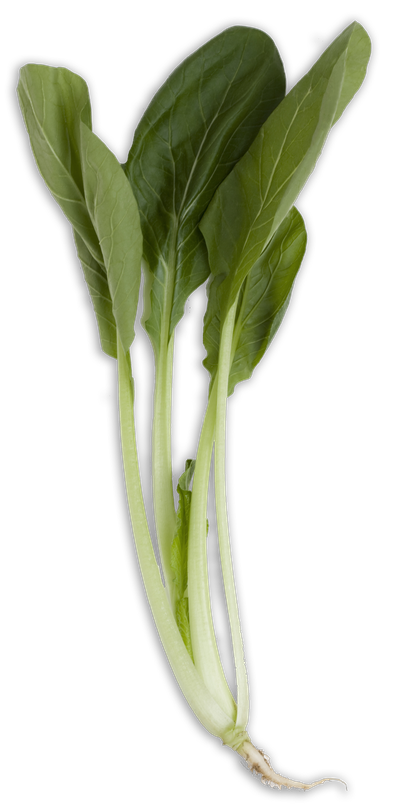 Organic Chinese Spinach Png Image (black, gray)