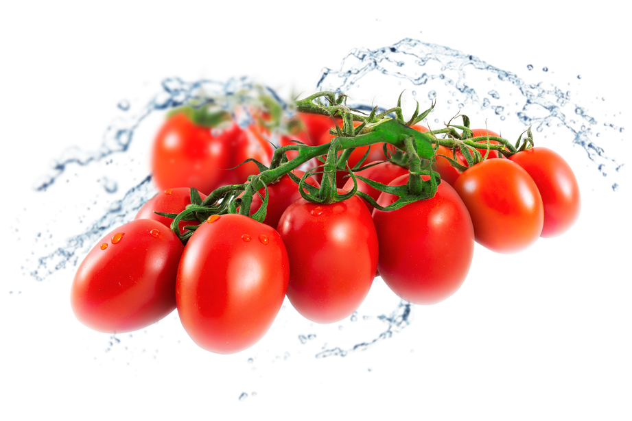 Organic Fresh Tomatoes Bunch Png Image (black)