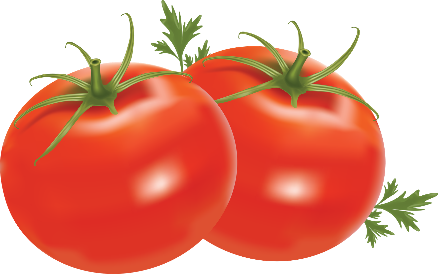 Organic Fresh Tomatoes Bunch Png Transparent Image (black, chocolate)