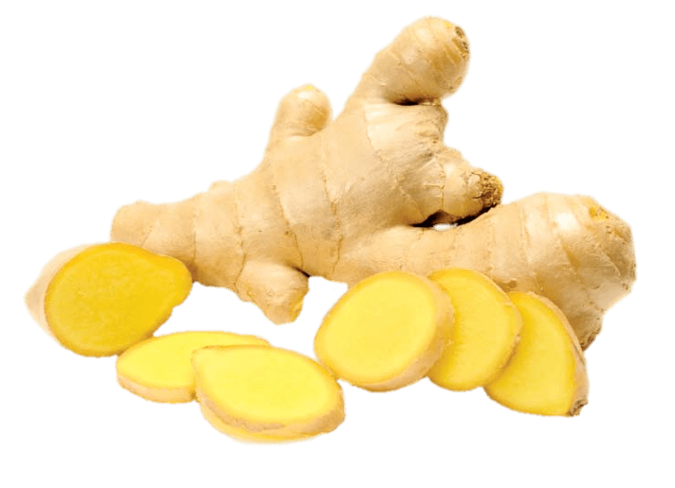 Organic Galangal Png Clipart (gray)