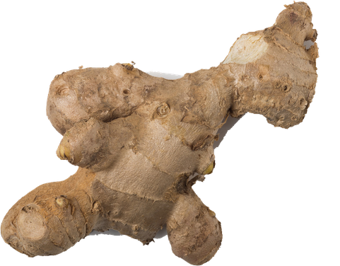 Organic Galangal Png Pic (black, chocolate, gray)