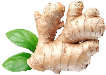 Organic Galangal Transparent Png (black, white)