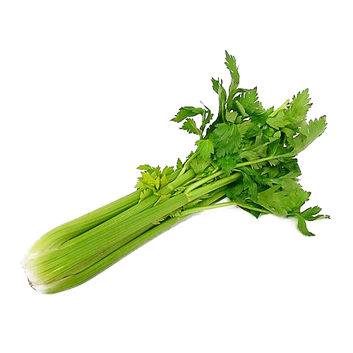 Organic Green Celery Png Transparent Image (white)