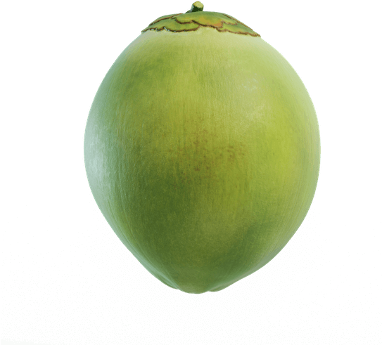 Organic Green Coconut Png File (black)