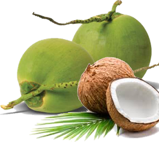 Organic Green Coconut Png Transparent Image (black, silver, gray, olive)