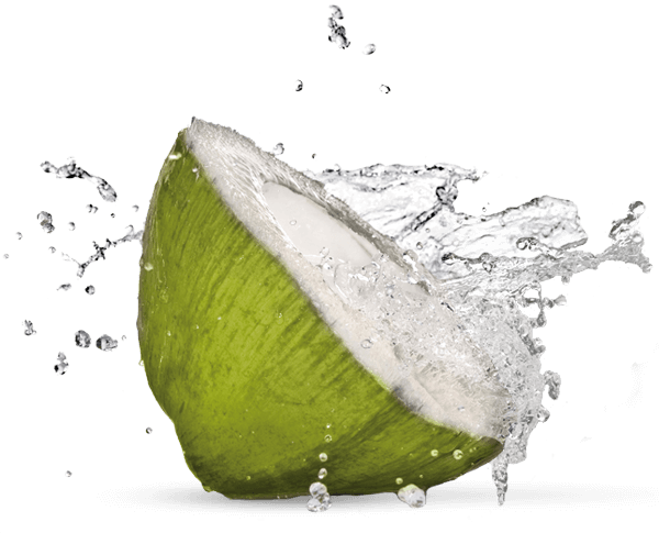 Organic Green Coconut Transparent Png (black)