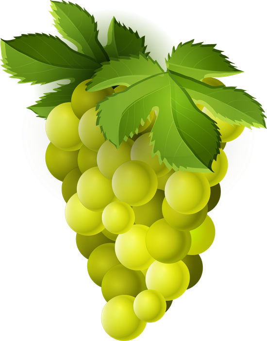 Organic Green Grapes Png Clipart (olive, green, white, lavender, black)