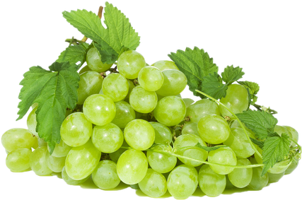 Organic Green Grapes Png File (black, silver)