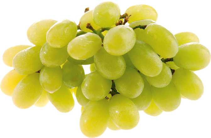 Organic Green Grapes Png Photos (black, olive)