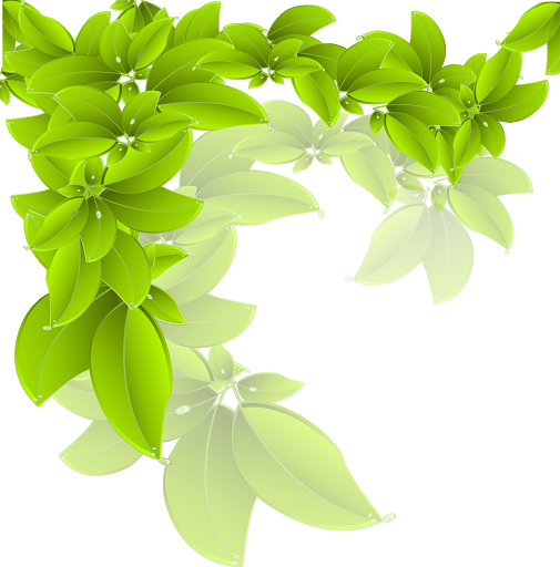 Organic Green Leaves Transparent Background (black, olive)