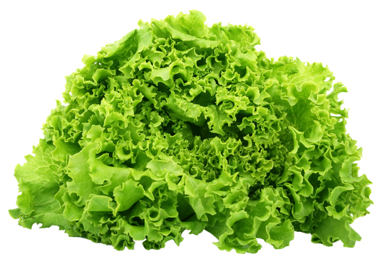 Organic Green Lettuce Png File (black, gold, olive)