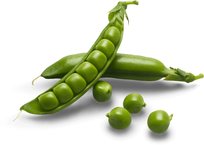 Organic Green Pea Png Transparent Image (green, olive, black)