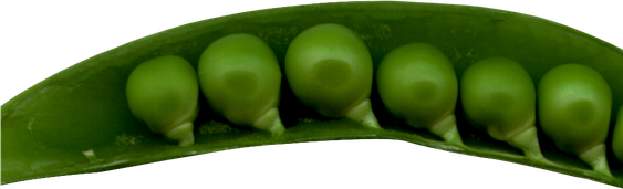 Organic Green Pea Transparent Png (green, black)