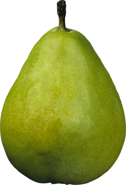 Organic Green Pears Png File (olive, black)