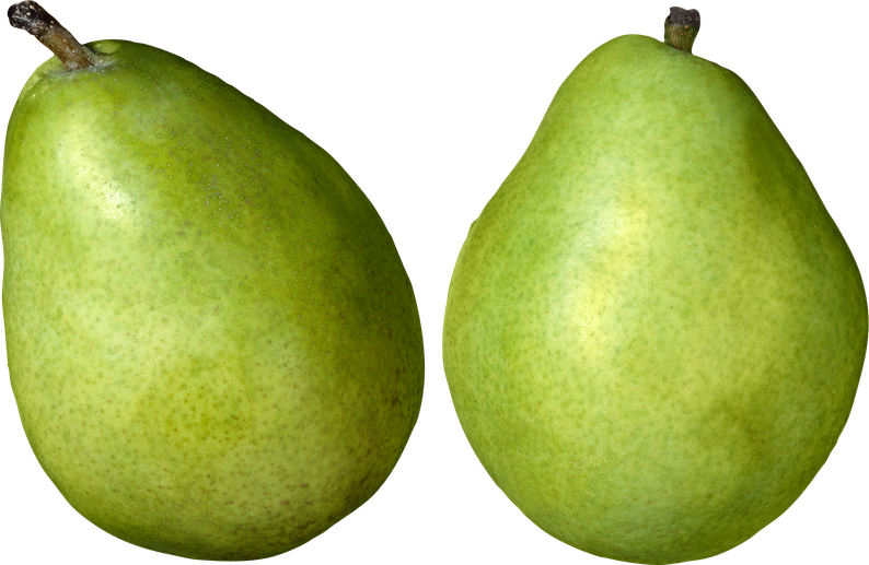 Organic Green Pears Png Photos (gray, black, olive)