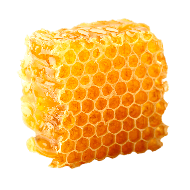 Organic Honeycomb Transparent Png (gray, orange)